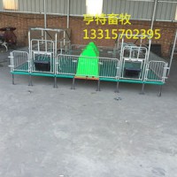 廠家現(xiàn)貨供應(yīng)復(fù)合漏糞板母豬分娩產(chǎn)床