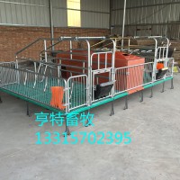 泊頭雙體母豬分娩產(chǎn)床養(yǎng)殖設(shè)備廠家供應(yīng)
