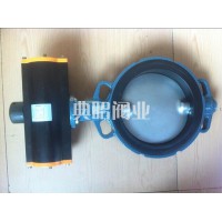 EBRO氣動蝶閥DN100現(xiàn)貨
