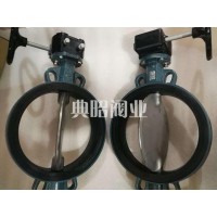 現(xiàn)貨EBRO渦輪對夾蝶閥