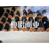現(xiàn)貨供應(yīng)EB8.1SYD/EBDW氣動執(zhí)行器