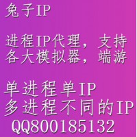 兔子進(jìn)程代理Ip-全面支持模擬器,端游,QQ,YY等