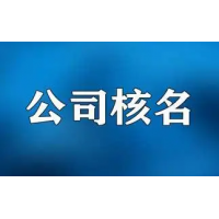 代理注冊無區(qū)域公司幫起名稱幫設(shè)立子公司或跨省公司